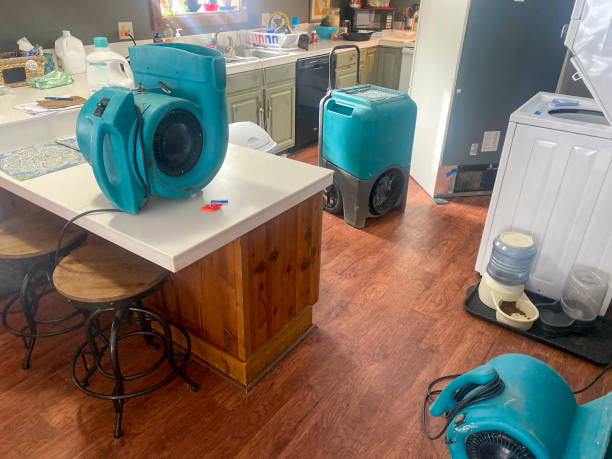 Best Water damage restoration near me  in Jeffersontown, KY