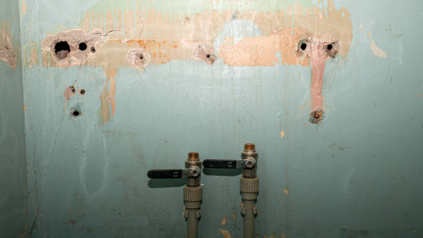 Best 24/7 water damage repair  in Jeffersontown, KY