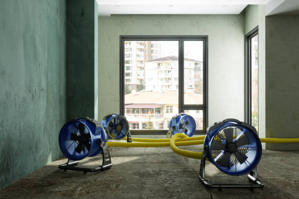 Best Water damage mitigation services  in Jeffersontown, KY